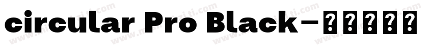 circular Pro Black字体转换